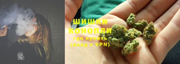 сатива Нефтекумск