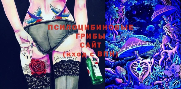 ПСИЛОЦИБИНОВЫЕ ГРИБЫ Нея