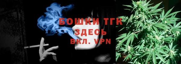 сатива Нефтекумск