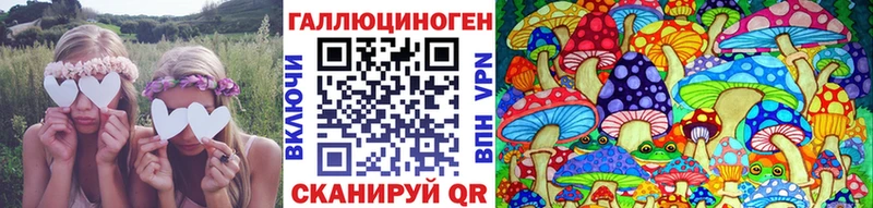 Купить где  Липки  Галлюциногенные грибы прущие грибы 